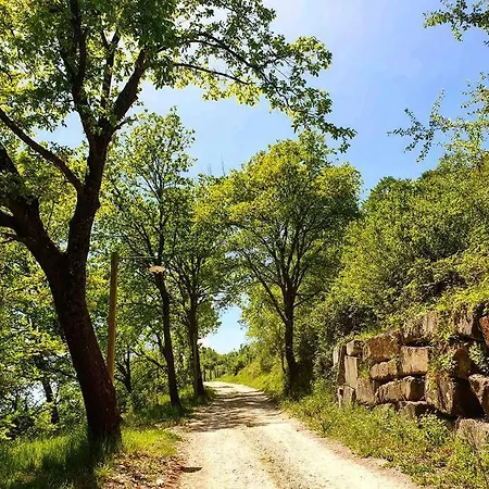 Fattoria San Lorenzo Holiday home *