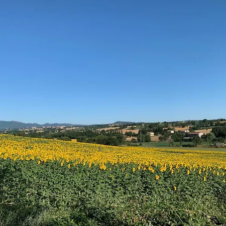 Fattoria San Lorenzo * Montecastrilli